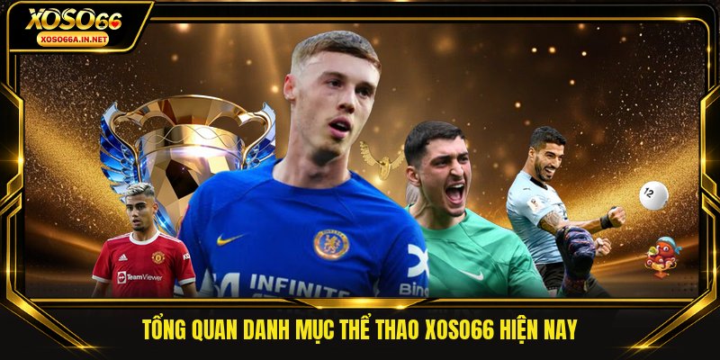 Tổng quan danh mục thể thao XOSO66 hiện nay